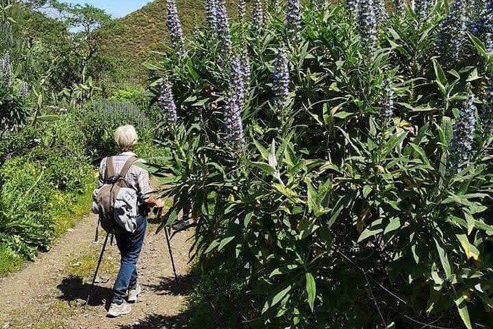Gran Canaria private walks