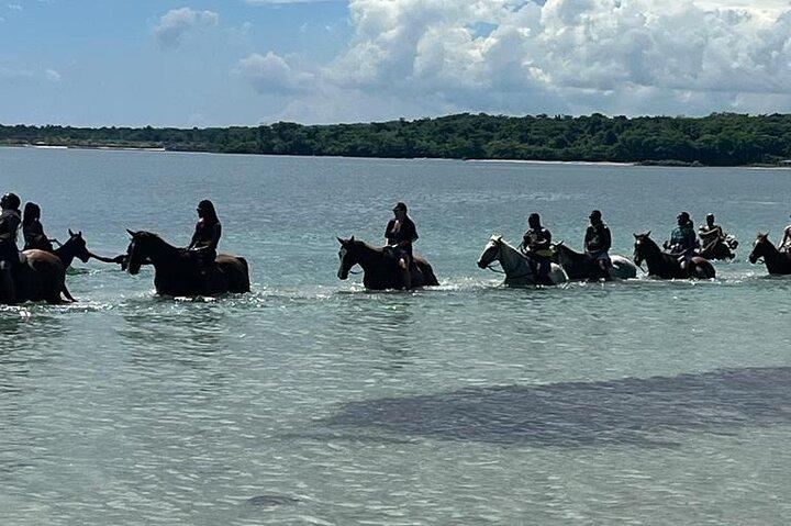 Horseback Riding in the Ocean from Ocho Rios & Runaway Bay