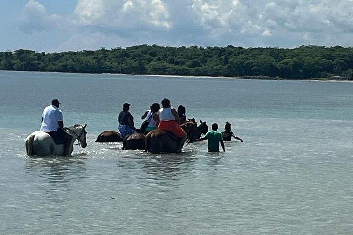 Horseback Riding in the Ocean from Ocho Rios & Runaway Bay