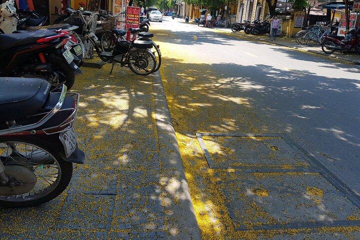Hoi An town private walking tour with boat trip