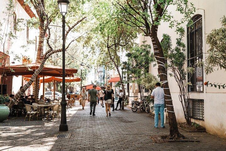 Santo Domingo History Culture and Natural from Punta Cana