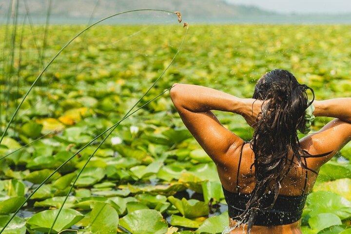 1-hour Kayak Adventure through Skadar Lake from Virpazar