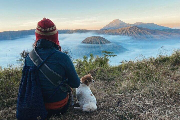 Mount Bromo Midnight Sunrise 12 Hours From Surabaya & Malang