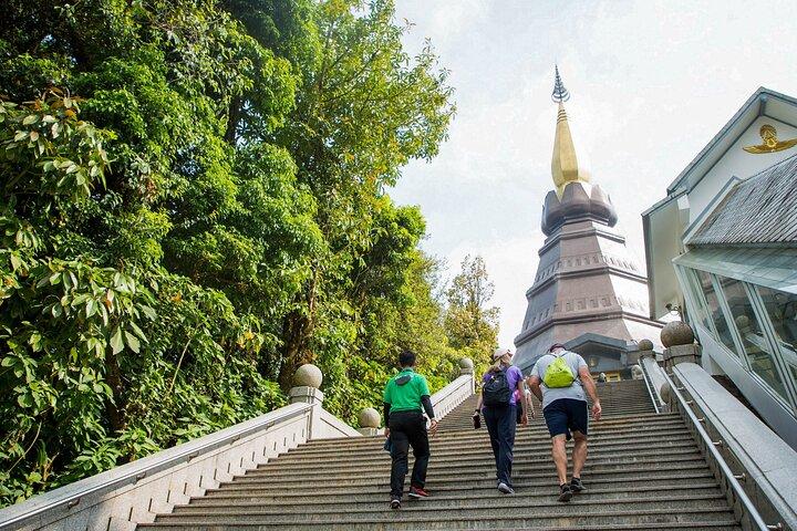 Doi Inthanon National Park Eco-Friendly Full Day Tour