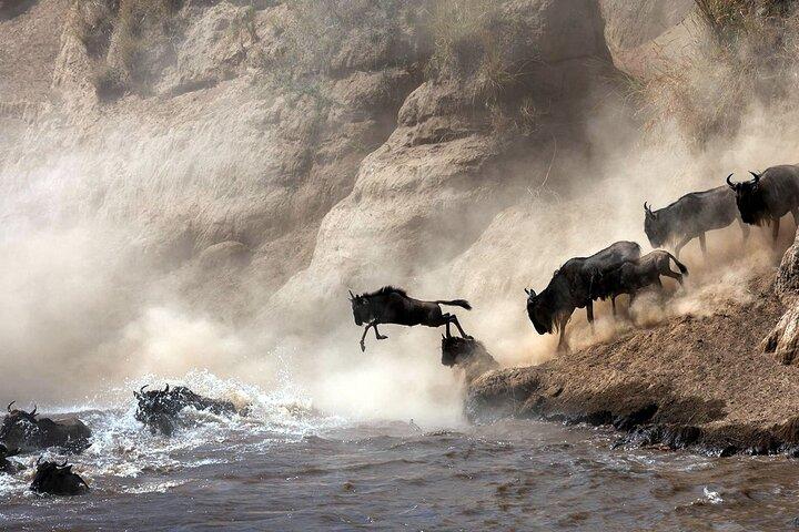 2 Days Maasai Mara National Reserve Private Safari from Nairobi