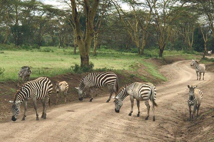 Full-Day Private Lake Nakuru Day Trip from Nairobi