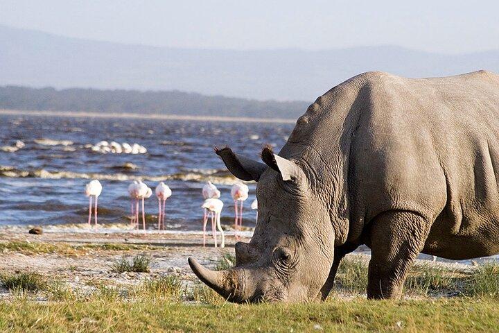 Full-Day Private Lake Nakuru Day Trip from Nairobi