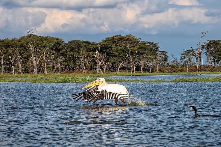 2 Day Tour Lake Nakuru, Hell' s Gate & Lake Naivasha From Nairobi