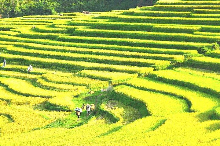 Pu Luong Nature Reserve - Private Adventure Tour 2 Days 1 Night