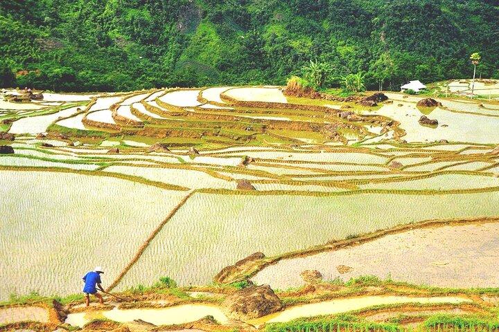 Pu Luong Nature Reserve - Private Adventure Tour 2 Days 1 Night