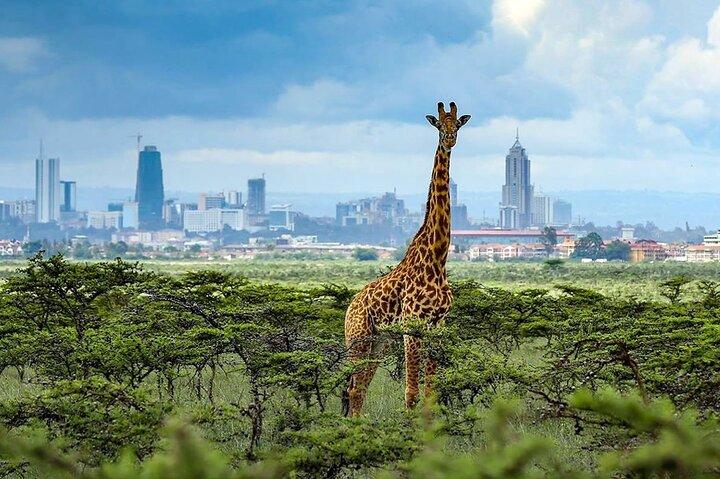 Nairobi National Park Half Day Tour with a visit to beads factory