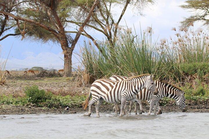 Day Tour To Lake Naivasha and Hell's Gate National Park
