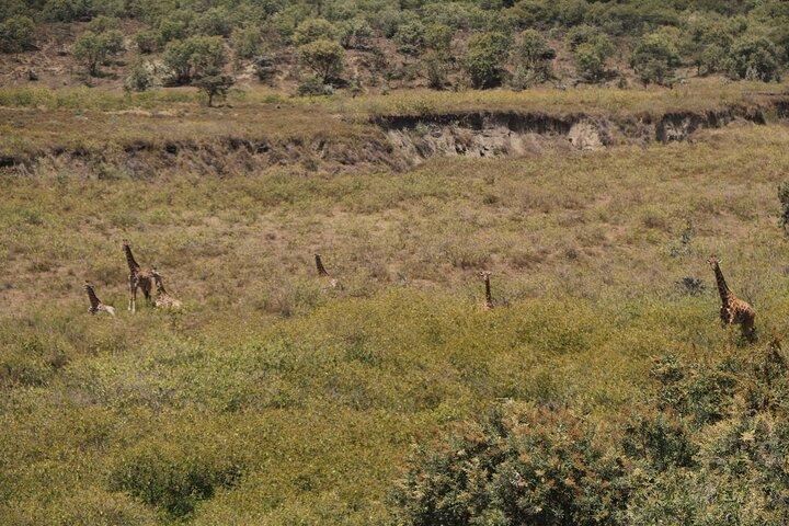 Day Tour to Mt. Longonot From Nairobi