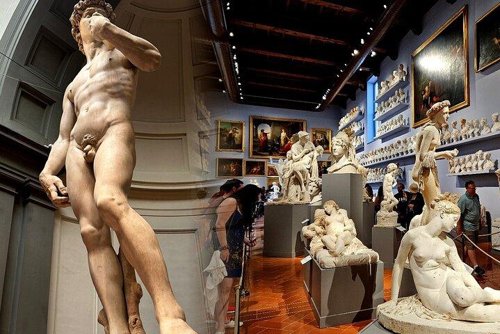 David & Accademia Gallery Florence Private Tour with Local Guide