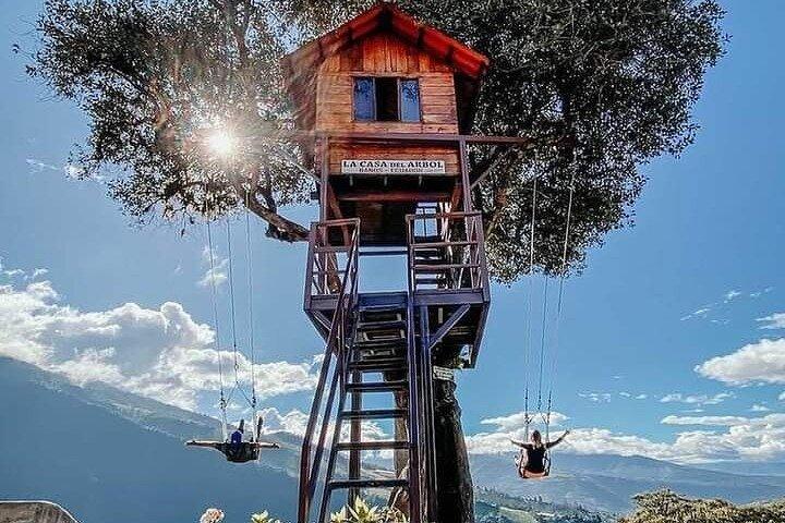 The Tree House - Tours - Swing at the End of the World - Viewpoint