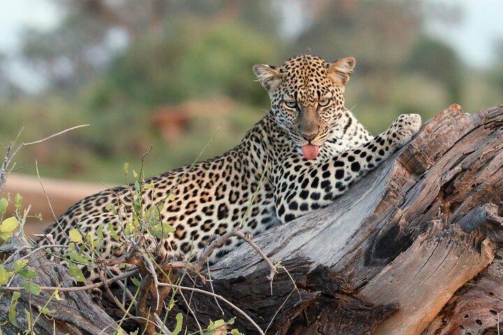 Day Trip To Lake Manyara National Park