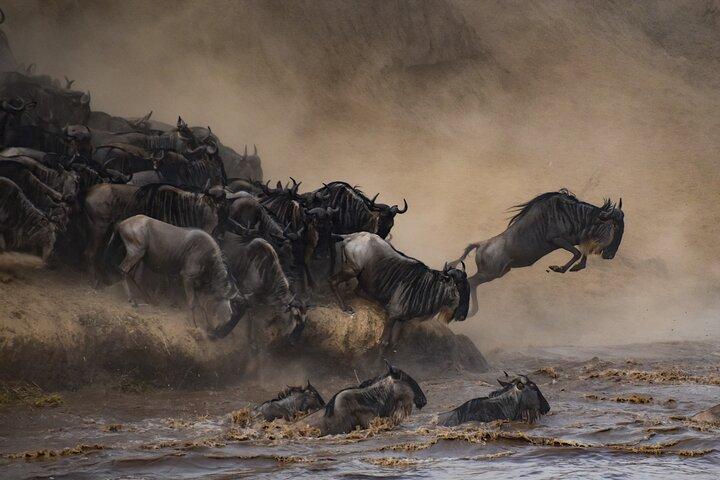 2-Day Sublime Safari to Tarangire and Ngorongoro Safari
