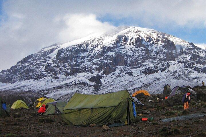 6 Day Private Kilimanjaro Climbing Via Umbwe Route
