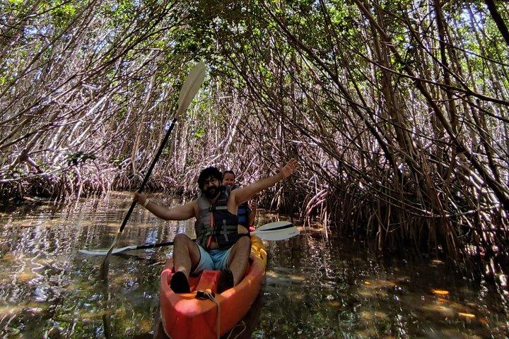 Kayak Tour of Nichupte Cancun Lagoon