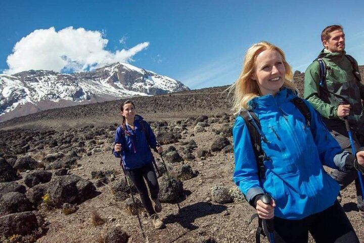 6 Day Private Kilimanjaro Climbing Via Umbwe Route