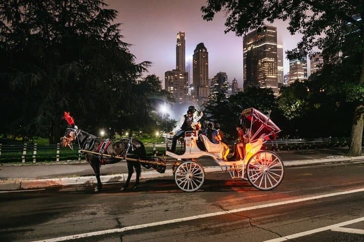 Central Park & Rockefeller Tour (4 Adults)