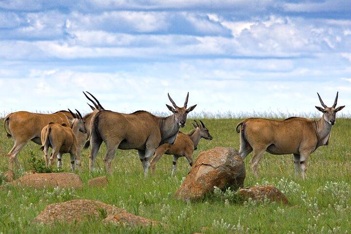 Full Day Tour To Arusha National Park Canoeing Safari