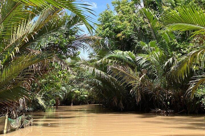 Mekong Delta Full-Day Tour with Sampan Boat Ride and Lunch