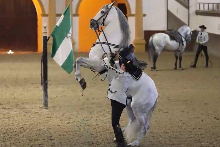 Jerez & Cadiz Winery with Tasting & Opt Horse Show from Seville