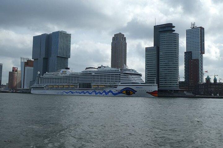 Rotterdam History, Culture & Highlights tour