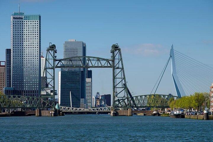 Rotterdam History, Culture & Highlights tour