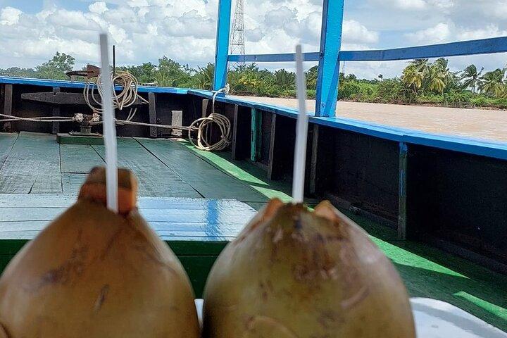 Explore Mekong Delta 1 Day Private Tour