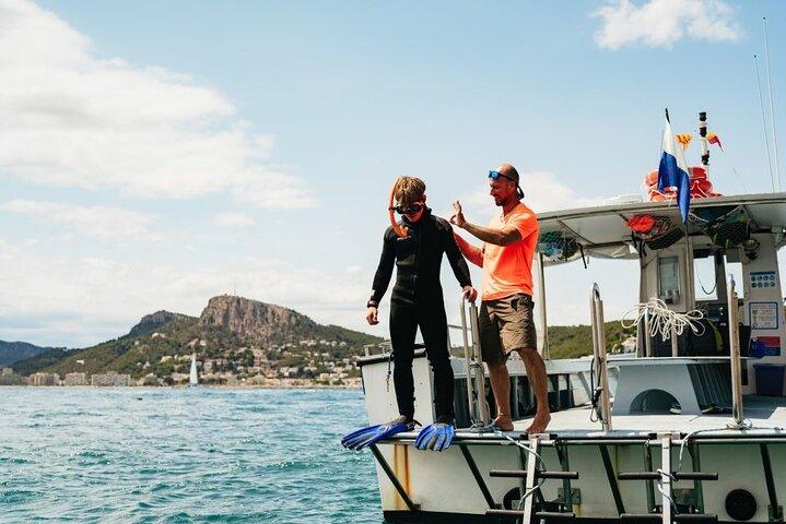 Eco-snorkeling in the Medes Islands