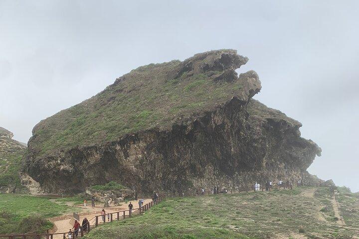 Private Guided Tour to West Beaches of Salalah