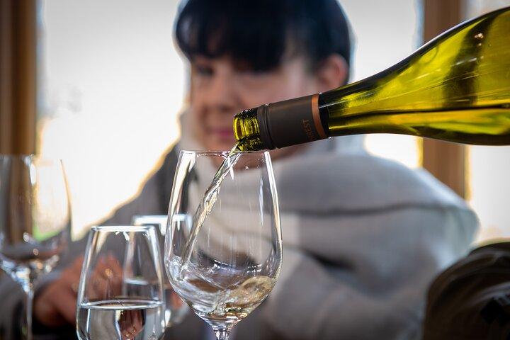 Beyond the Vines - Full-Day Marlborough Wine Tasting Tour