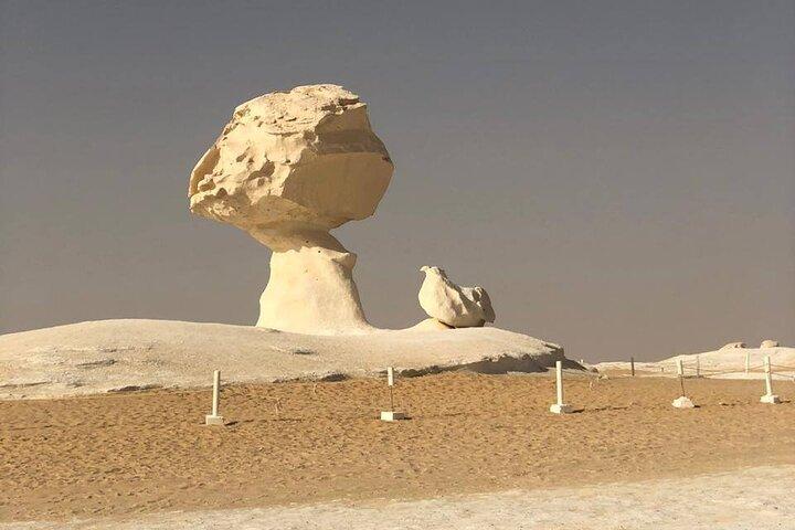 2-Day Egypt Desert Rose Tour