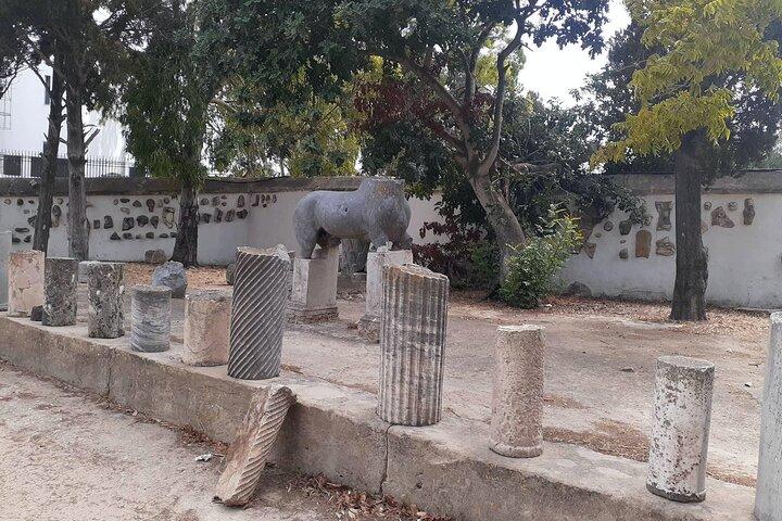 Ancient Carthage and Sidi Bou Said Half Day Tour with Lunch