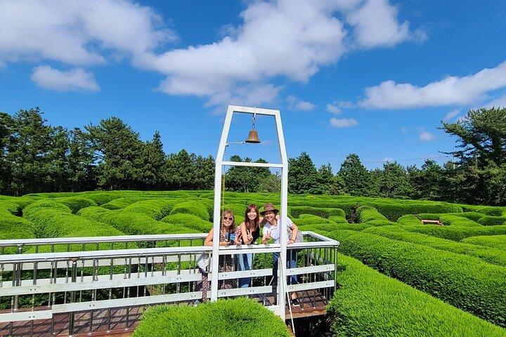 2-days Private Taxi Tour in Jeju Island