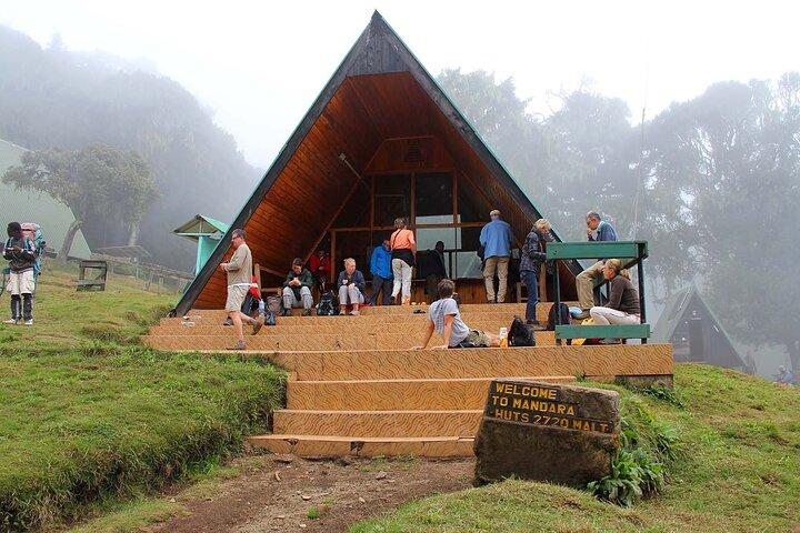 Mount Kilimanjaro Day Hike Through Marangu Route to Mandara Hut