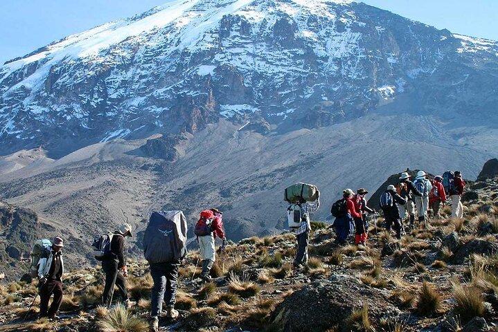 6 Day Private Kilimanjaro Climbing Via Umbwe Route