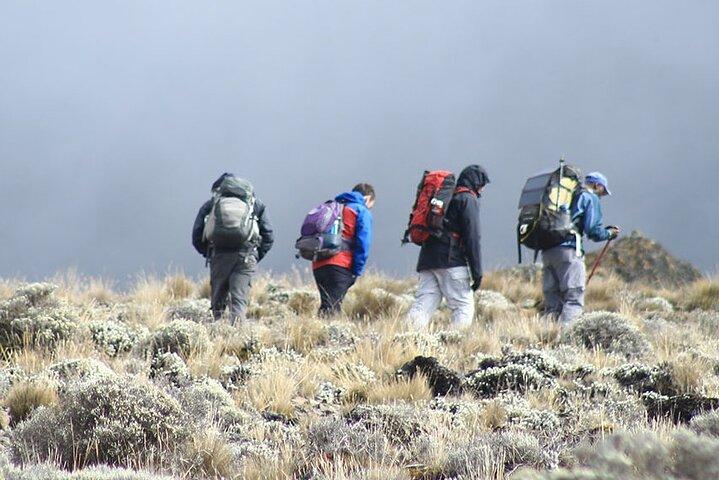 Kilimanjaro Climbing Via Machame Route 6 Days