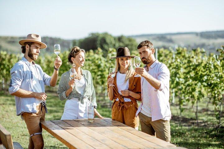 German Wine Tasting Tour at the Best Wine Bars in Berlin