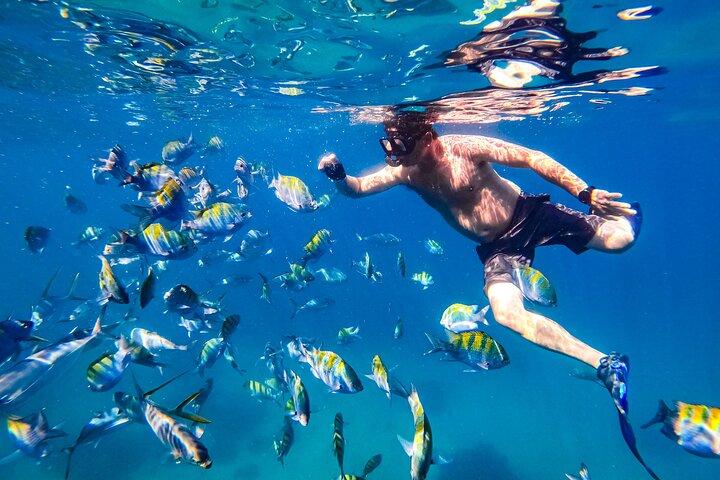 Luxury Yacht & Snorkel with All inclusive Open bar and lunch