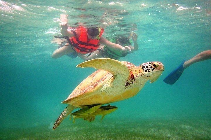 Tour to Tulum and cenote with swimming with turtles from Riviera Maya