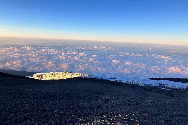 Conquering Kilimanjaro: 7 Days to the Summit via Lemosho Route