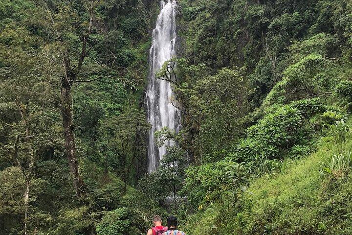 DayTour to Materuni Waterfalls with Coffee & Hotsprings Excursion