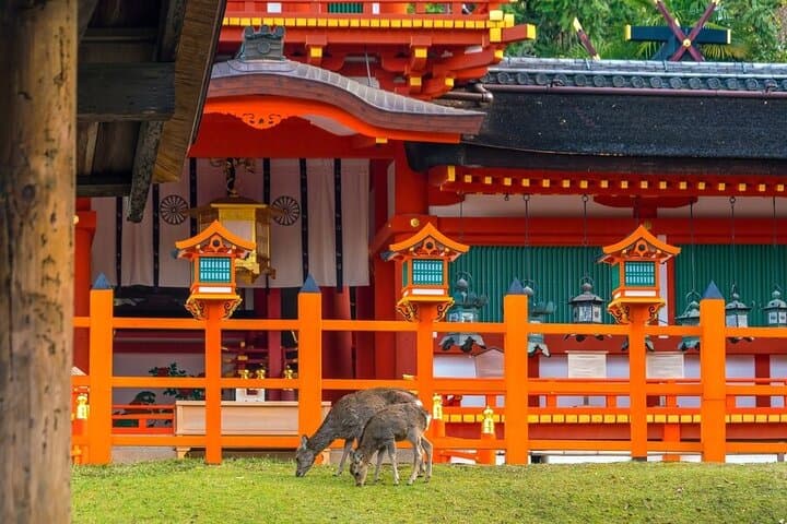 From Tokyo to Kyoto and Nara: A Captivating Full-Day Private Tour