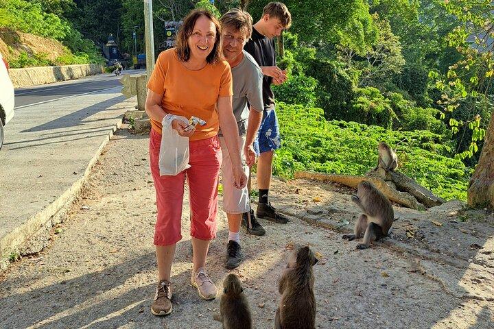 Best Lombok Rice Terrace Walking Tour With Waterfall & Monkey