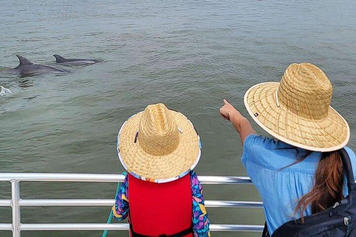Folly Beach Dolphin Viewing Boat Excursion and Estuary Tour