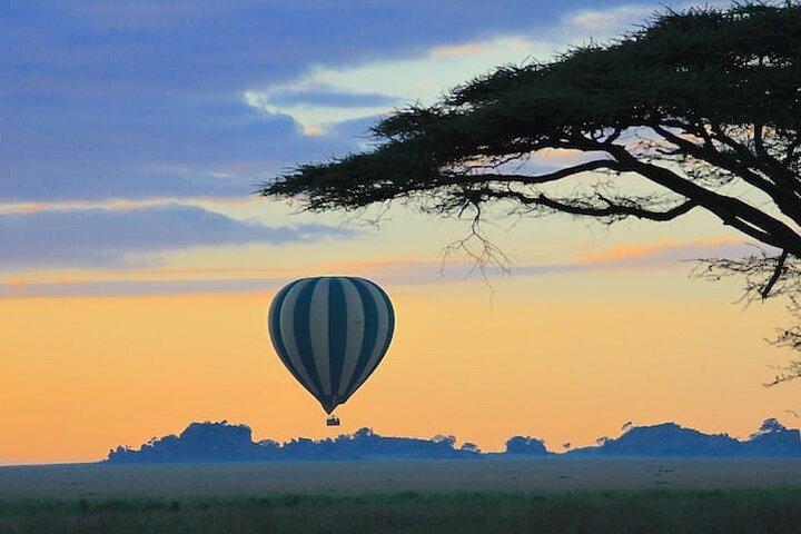 Tanzania Photoghraphic Safari