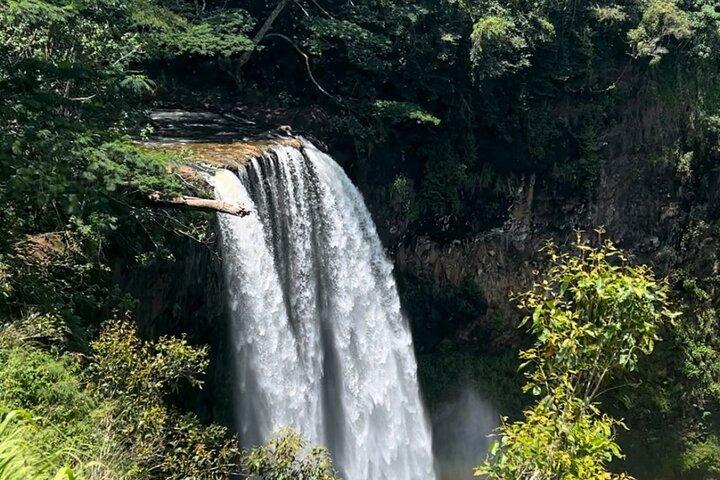 Kauai Eastside Waterfalls & Local Grinds-Small Group Tour